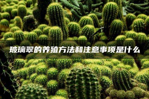 玻璃翠的养殖方法和注意事项是什么