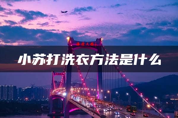 小苏打洗衣方法是什么