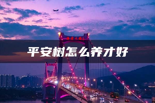 平安树怎么养才好