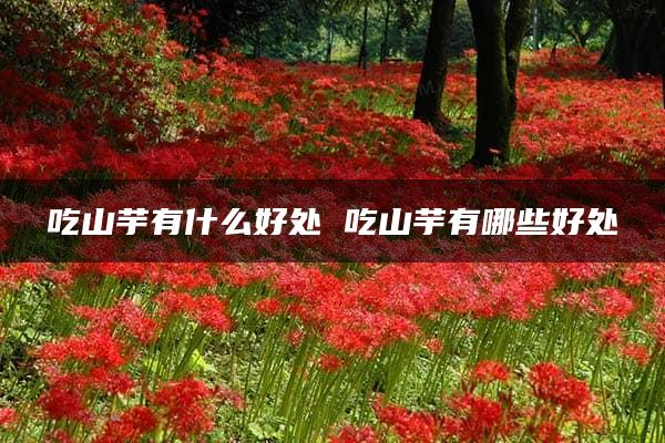 吃山芋有什么好处 吃山芋有哪些好处