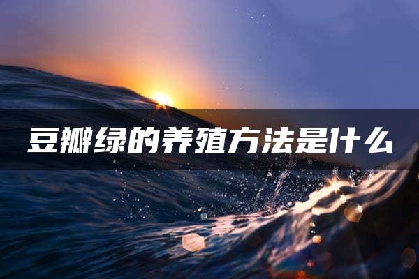 豆瓣绿的养殖方法是什么