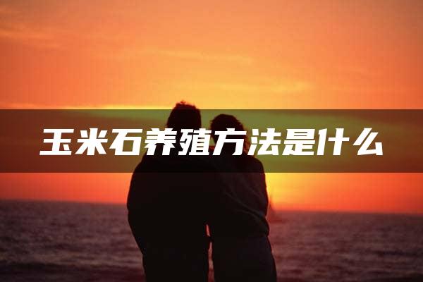 玉米石养殖方法是什么