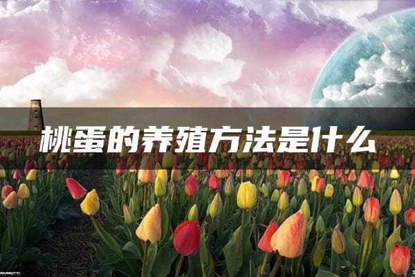 桃蛋的养殖方法是什么