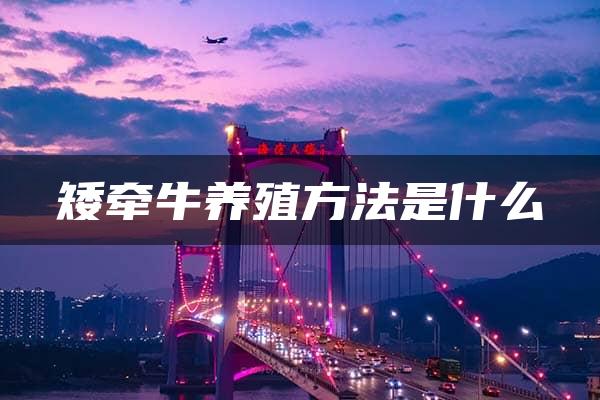 矮牵牛养殖方法是什么