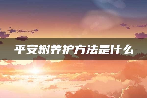 平安树养护方法是什么