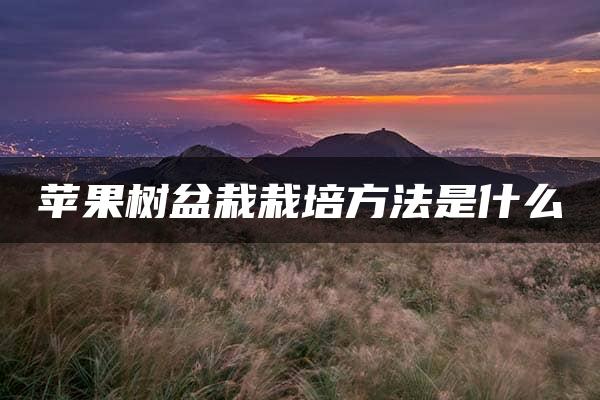 苹果树盆栽栽培方法是什么