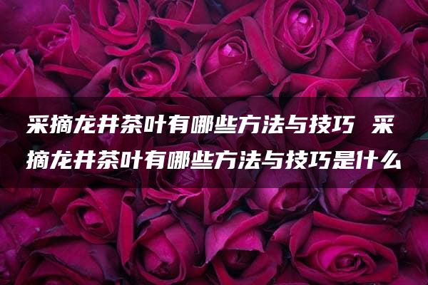 采摘龙井茶叶有哪些方法与技巧 采摘龙井茶叶有哪些方法与技巧是什么