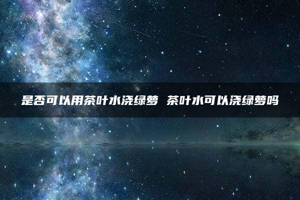 是否可以用茶叶水浇绿萝 茶叶水可以浇绿萝吗