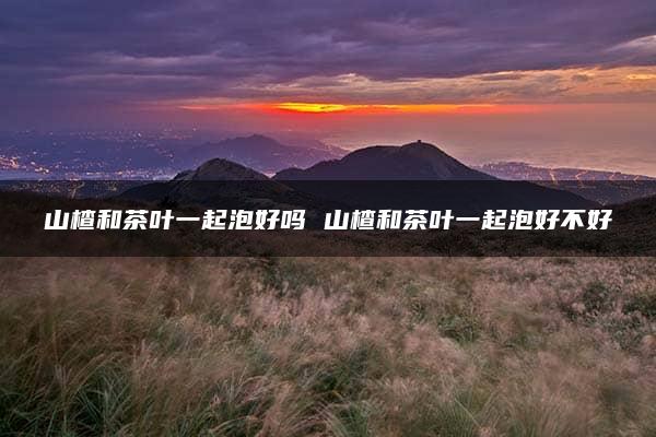 山楂和茶叶一起泡好吗 山楂和茶叶一起泡好不好