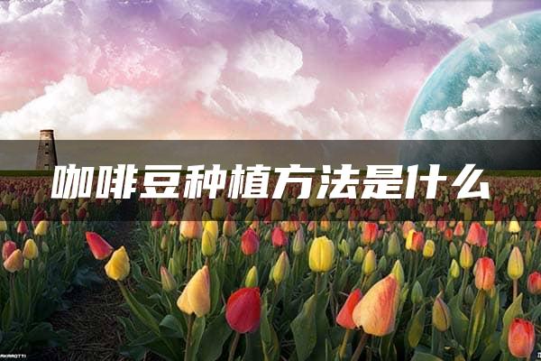 咖啡豆种植方法是什么