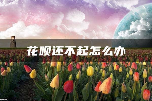 花呗还不起怎么办