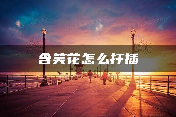 含笑花怎么扦插