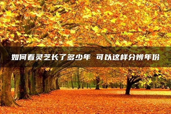 如何看灵芝长了多少年 可以这样分辨年份