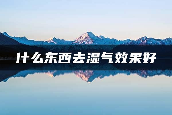 什么东西去湿气效果好