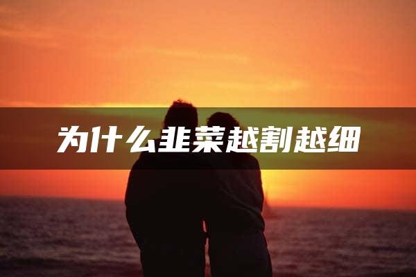 为什么韭菜越割越细