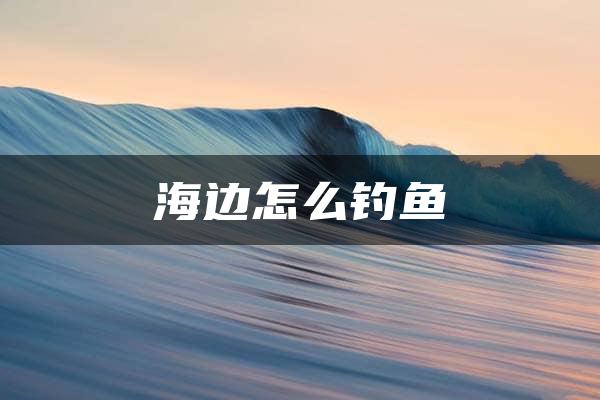 海边怎么钓鱼