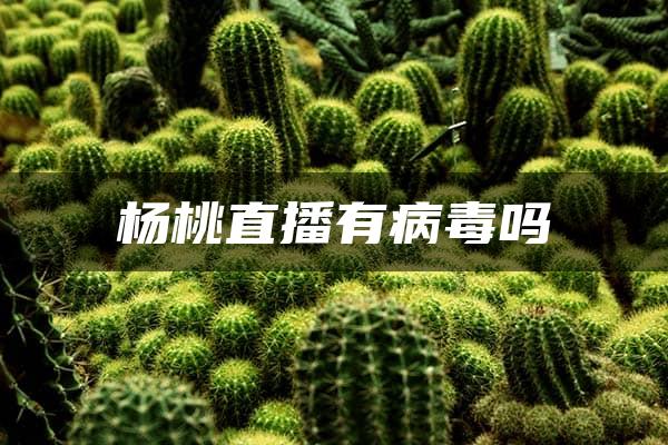 杨桃直播有病毒吗