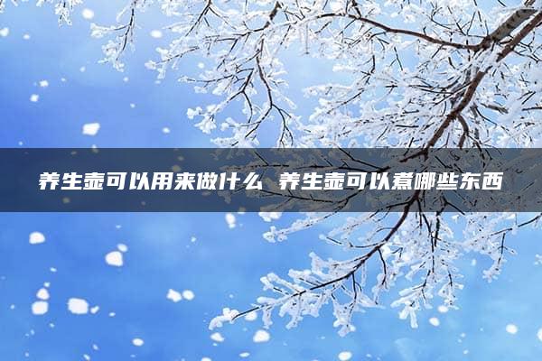 养生壶可以用来做什么 养生壶可以煮哪些东西