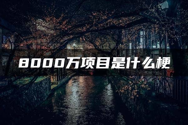 8000万项目是什么梗