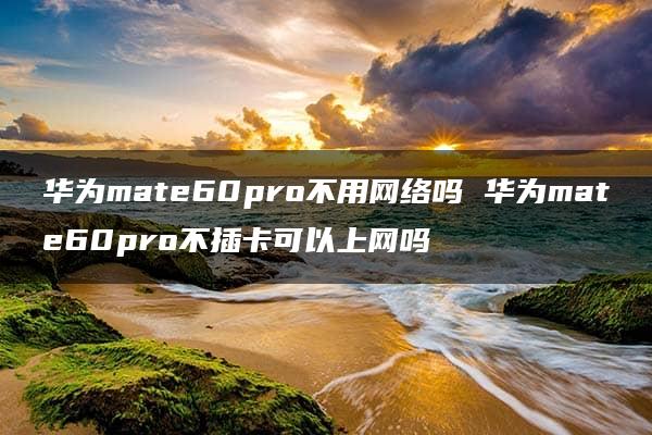 华为mate60pro不用网络吗 华为mate60pro不插卡可以上网吗