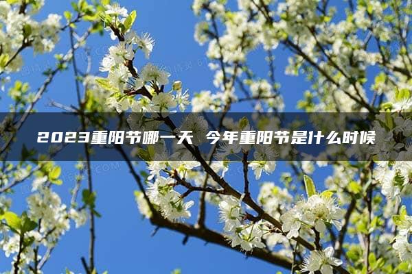 2023重阳节哪一天 今年重阳节是什么时候