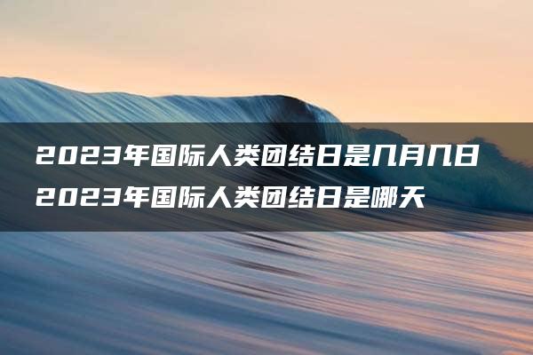 2023年国际人类团结日是几月几日 2023年国际人类团结日是哪天