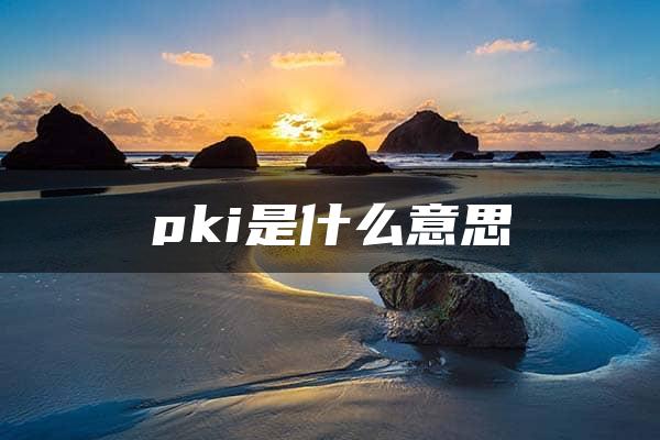 pki是什么意思