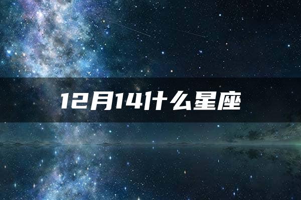 12月14什么星座