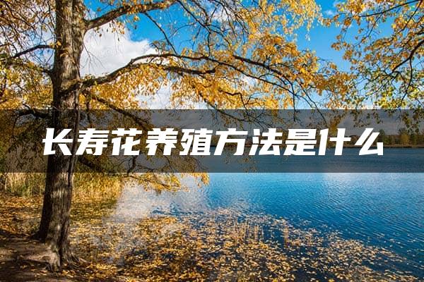 长寿花养殖方法是什么