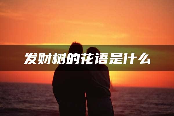 发财树的花语是什么