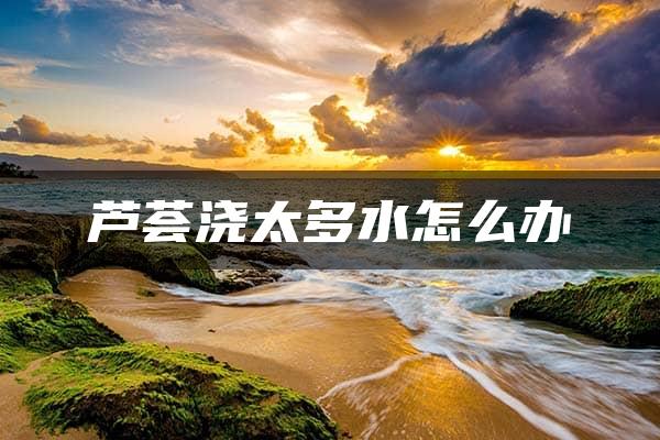 芦荟浇太多水怎么办