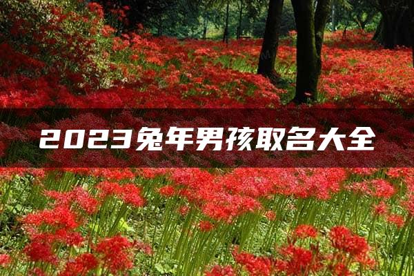 2023兔年男孩取名大全