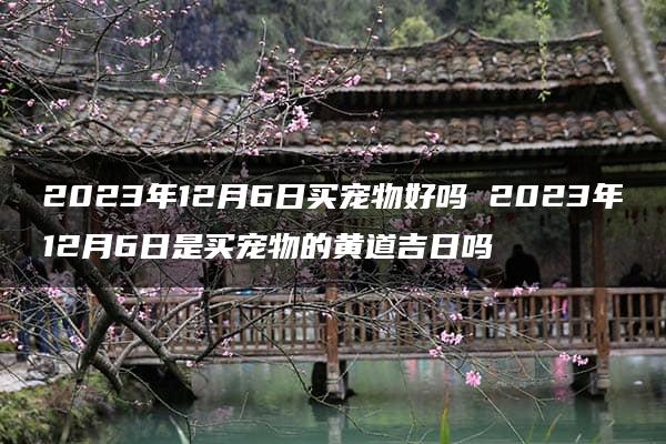 2023年12月6日买宠物好吗 2023年12月6日是买宠物的黄道吉日吗