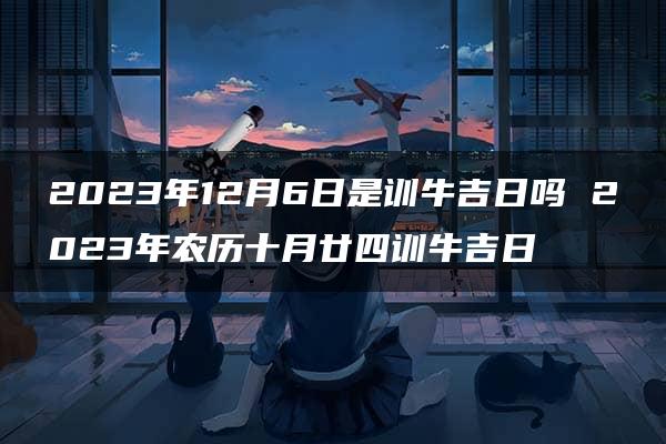 2023年12月6日是训牛吉日吗 2023年农历十月廿四训牛吉日