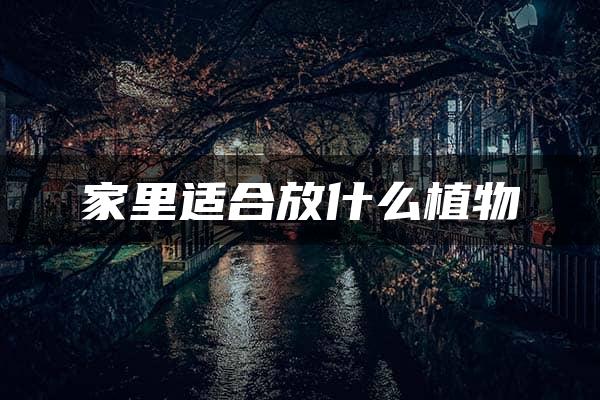 家里适合放什么植物