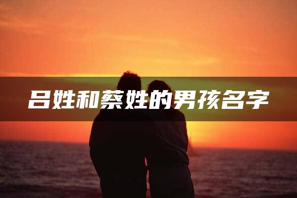 吕姓和蔡姓的男孩名字