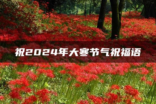 祝2024年大寒节气祝福语