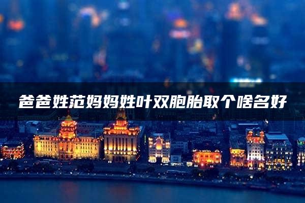 爸爸姓范妈妈姓叶双胞胎取个啥名好