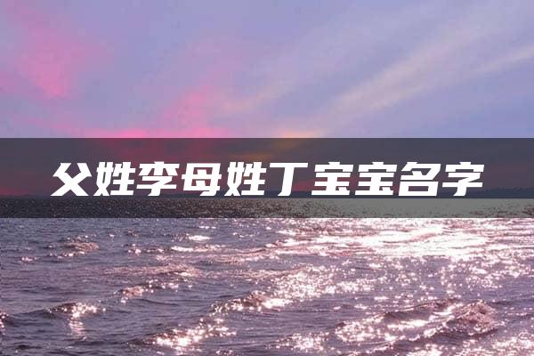 父姓李母姓丁宝宝名字