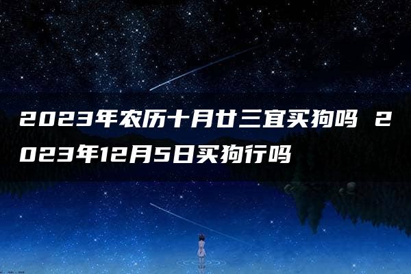 2023年农历十月廿三宜买狗吗 2023年12月5日买狗行吗