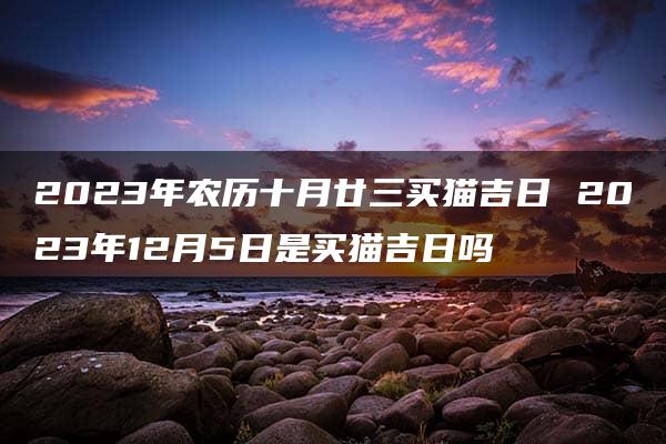 2023年农历十月廿三买猫吉日 2023年12月5日是买猫吉日吗