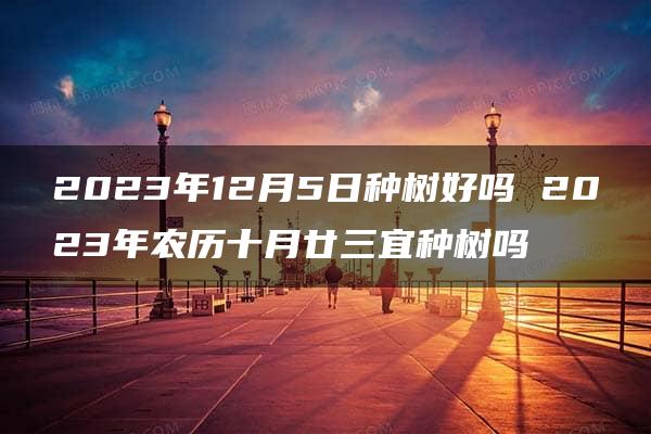 2023年12月5日种树好吗 2023年农历十月廿三宜种树吗