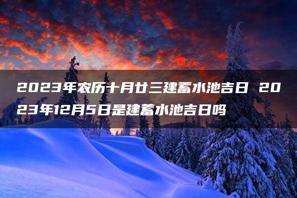 2023年农历十月廿三建蓄水池吉日 2023年12月5日是建蓄水池吉日吗