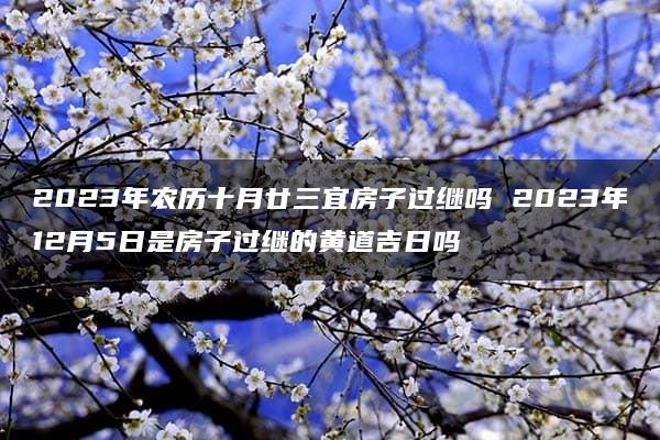 2023年农历十月廿三宜房子过继吗 2023年12月5日是房子过继的黄道吉日吗