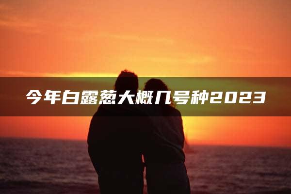 今年白露葱大概几号种2023