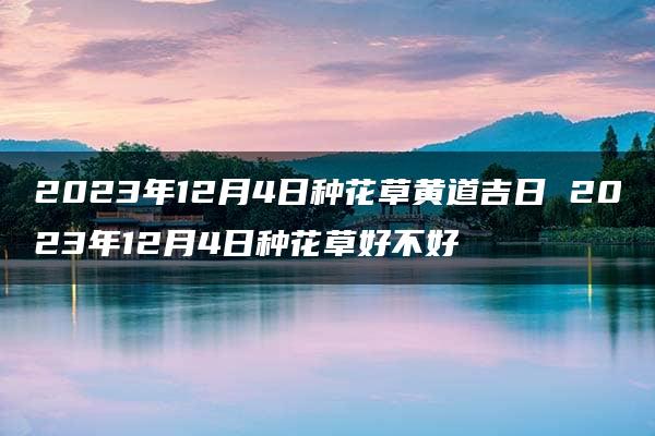 2023年12月4日种花草黄道吉日 2023年12月4日种花草好不好