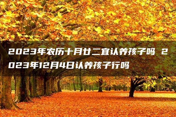 2023年农历十月廿二宜认养孩子吗 2023年12月4日认养孩子行吗