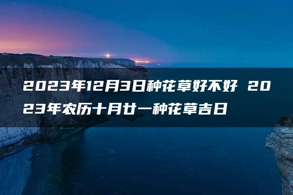 2023年12月3日种花草好不好 2023年农历十月廿一种花草吉日