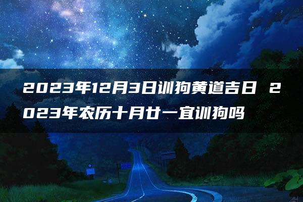 2023年12月3日训狗黄道吉日 2023年农历十月廿一宜训狗吗