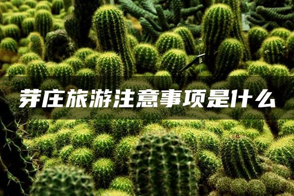 芽庄旅游注意事项是什么